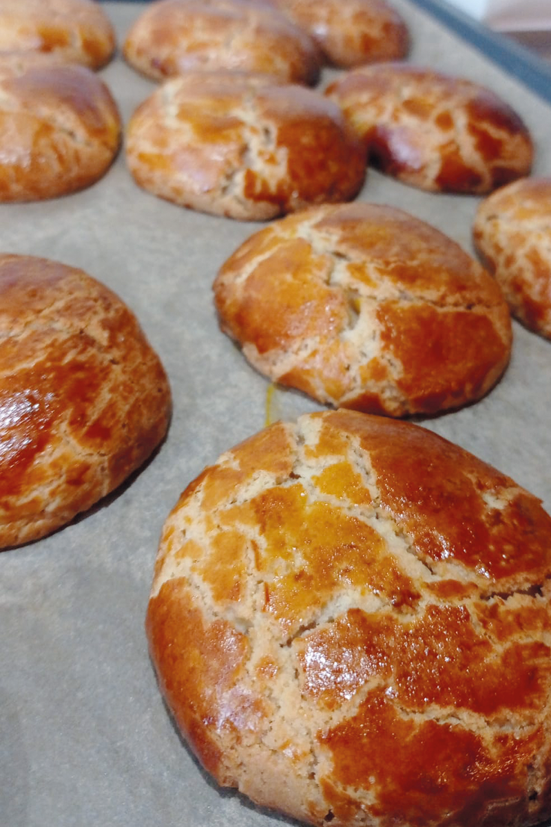 800x1200 Sfogliatella Riccia